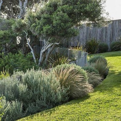 Jardineros Chiclana - Empresa de jardinería chiclana, Servicios de Jardinería chiclana, Mantenimiento de jardines chiclana, Jardinero chiclana, Jardineros chiclana, Jardinero a domicilio chiclana (32)