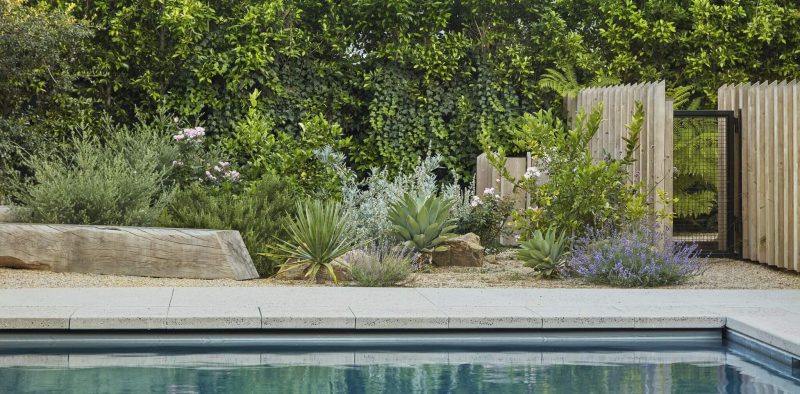 Jardineros Chiclana - Empresa de jardinería chiclana, Servicios de Jardinería chiclana, Mantenimiento de jardines chiclana, Jardinero chiclana, Jardineros chiclana, Jardinero a domicilio chiclana (37)