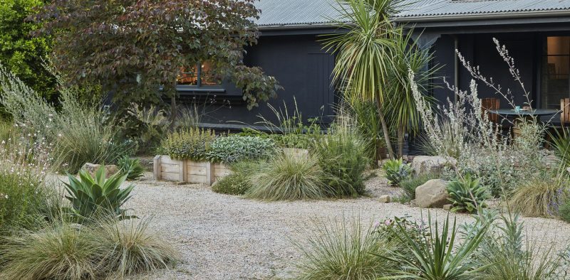 Jardineros Chiclana - Empresa de jardinería chiclana, Servicios de Jardinería chiclana, Mantenimiento de jardines chiclana, Jardinero chiclana, Jardineros chiclana, Jardinero a domicilio chiclana (5)